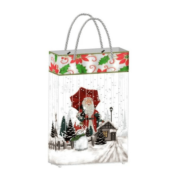 LED Musical Gift Bag