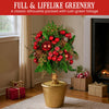 36cm Christmas Tabletop Topiary Tree