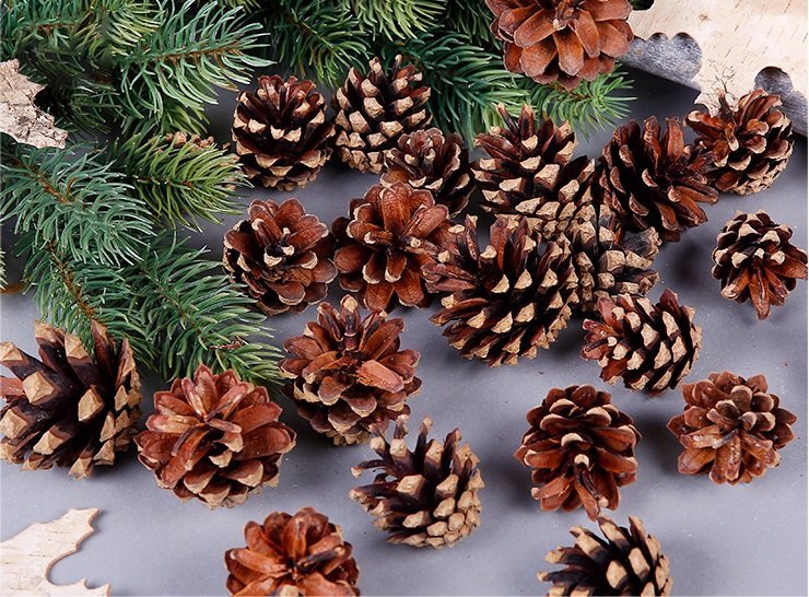18 Christmas Natural Pine Cones Hanging Decoration
