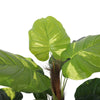 Artificial Potted Pothos Plant 100cm