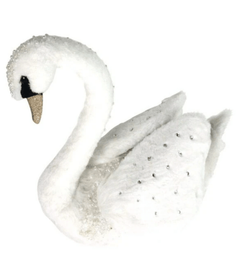 Magical White Swan