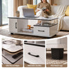 Artiss Coffee Table with Storage Drawer – Marble Finish, White