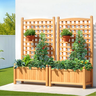 Garden & Tools