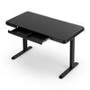 Artiss Motorised 120 cm Electric Standing Desk – Black
