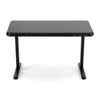 Artiss Motorised 120 cm Electric Standing Desk – Black