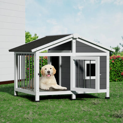 Pet Enclosures & Accessories