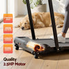 Everfit 3 in 1 Walking Pad Treadmill 12% Incline 40cm Belt Black