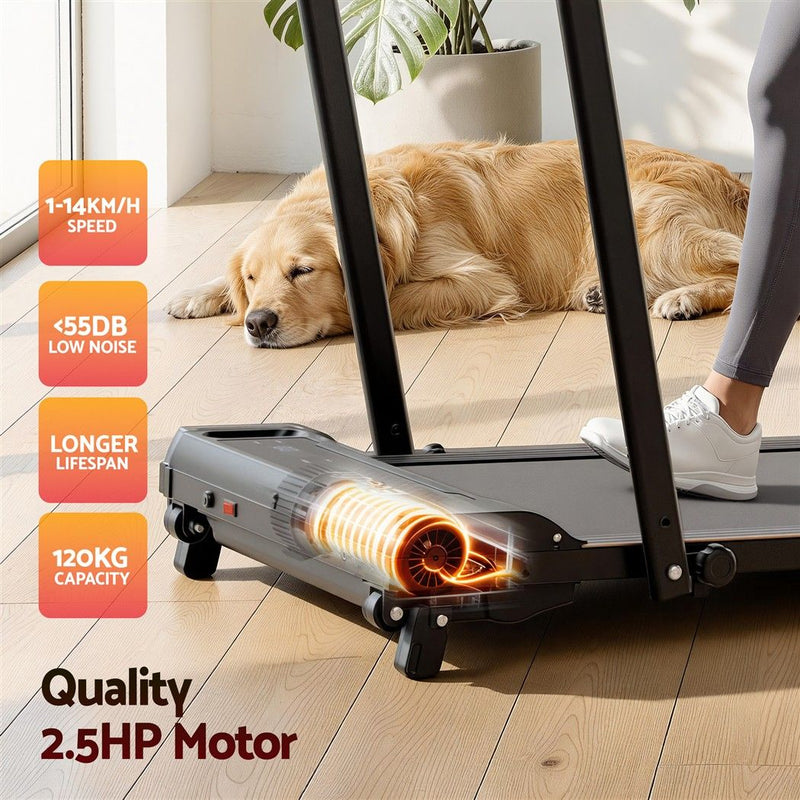 Everfit 3 in 1 Walking Pad Treadmill 12% Incline 40cm Belt Black