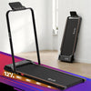 Everfit 3 in 1 Walking Pad Treadmill 12% Incline 40cm Belt Black
