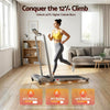 Everfit 3 in 1 Walking Pad Treadmill 12% Incline 40cm Belt Silver