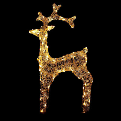 Reindeer Wonderland