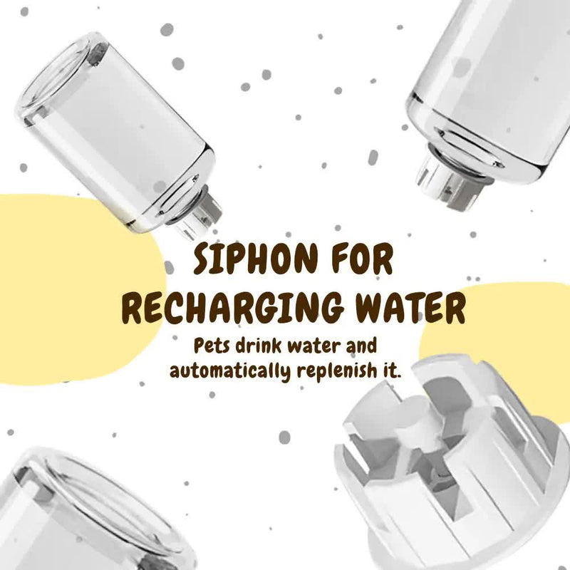 2-in-1 Automatic Pet Feeder & Water Dispenser Feeding Station