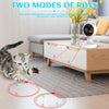 CARLA HOME Interactive Laser Cat Toy