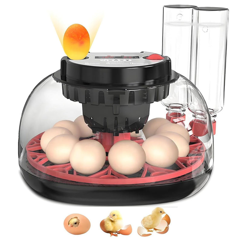 CARLA HOME 12 Egg Incubator with Auto Turning