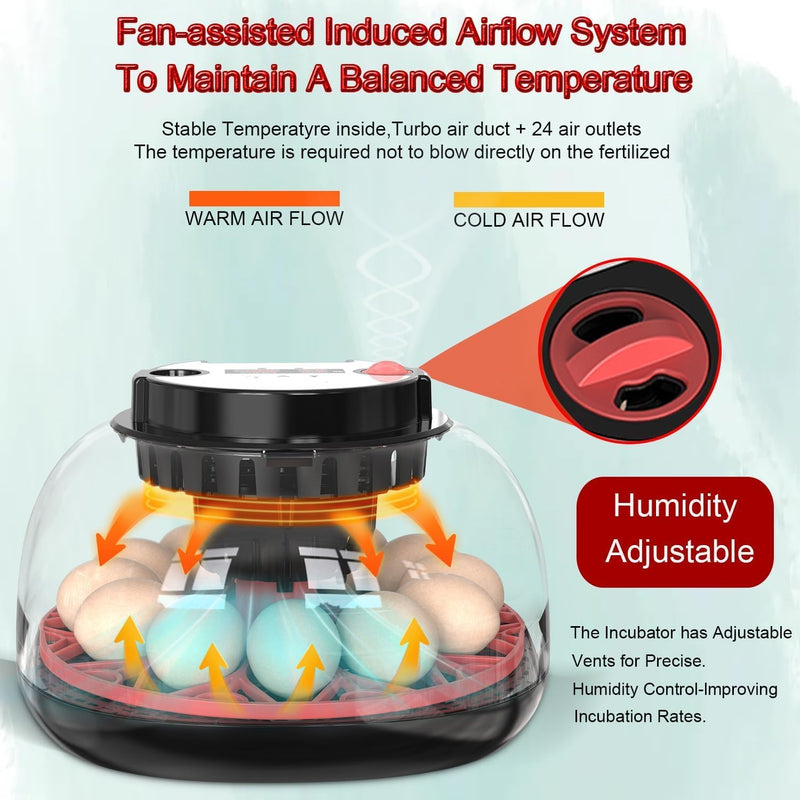 CARLA HOME 12 Egg Incubator with Auto Turning