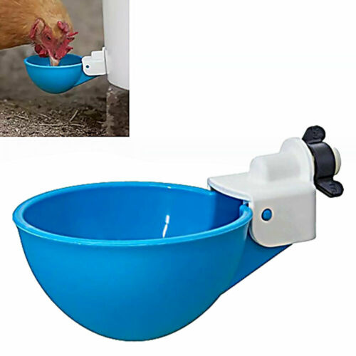 Cheeky Chooka DIY Poultry Drinker Cups 4-Pack