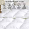 Goose Feather Down Quilt 500 GSM Duvet Doonas King: 240x210cm