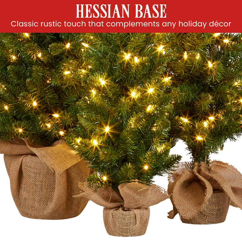 Christabelle Set of 3 Pre-Lit Christmas Trees with LED Lights & Hessian Base