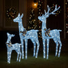 Christabelle 3-Piece LED Acrylic Reindeer Christmas Display Set – Cool White