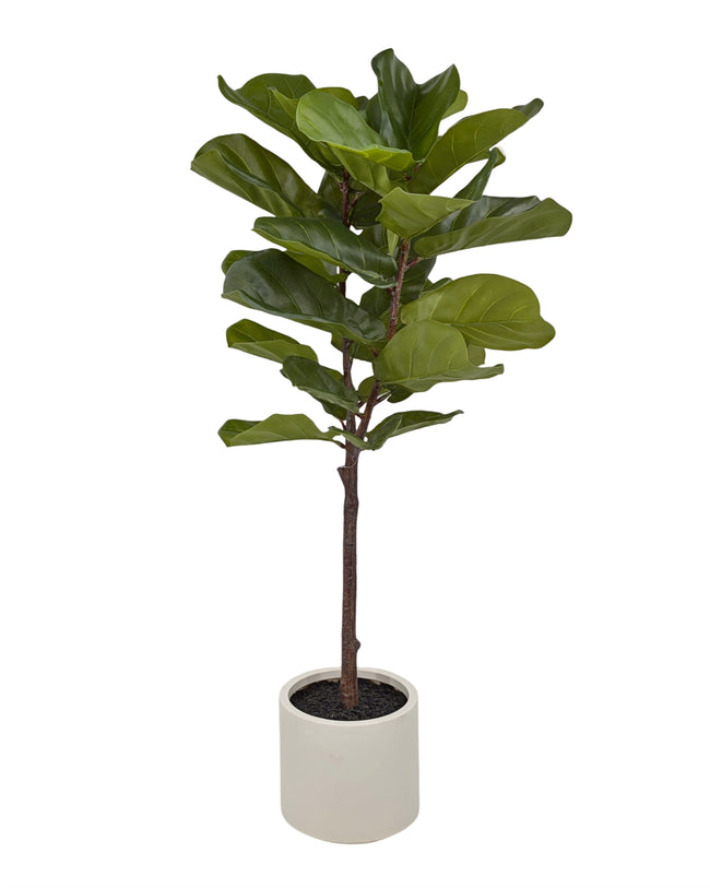 Large Artificial Fiddleleaf Tree in Pot 130cm