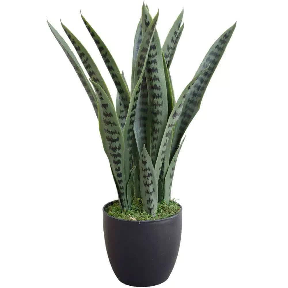 Artificial Snake Plant Sansevieria 60cm – UV Resistant