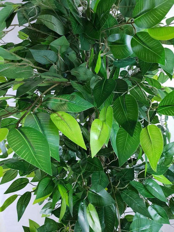 Mixed Green Artificial Ficus Tree 180cm