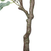 Artificial Red Box Eucalyptus Tree 150cm