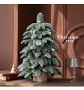 55cm Frosted Mini Christmas Tree