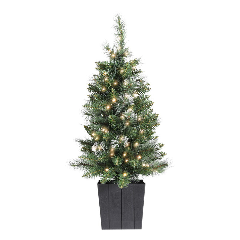 Christmas Tree 90cm Potted