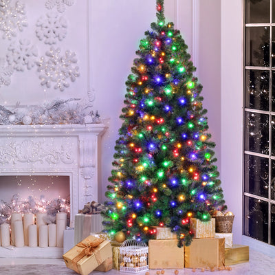 Christmas Tree Collection