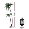 2.1m LED Lighted Christmas Palm Trees