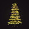 Christmas Tree 2.1M LED Sparse 860 Tips
