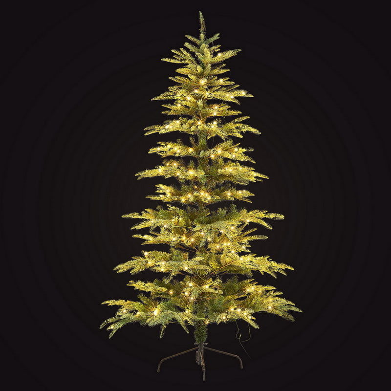 Christmas Tree 2.1M LED Sparse 860 Tips