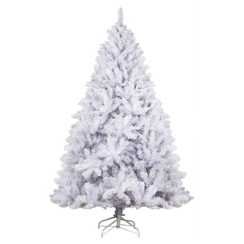 2.1m White Fir Christmas Tree – 1,000 Tips