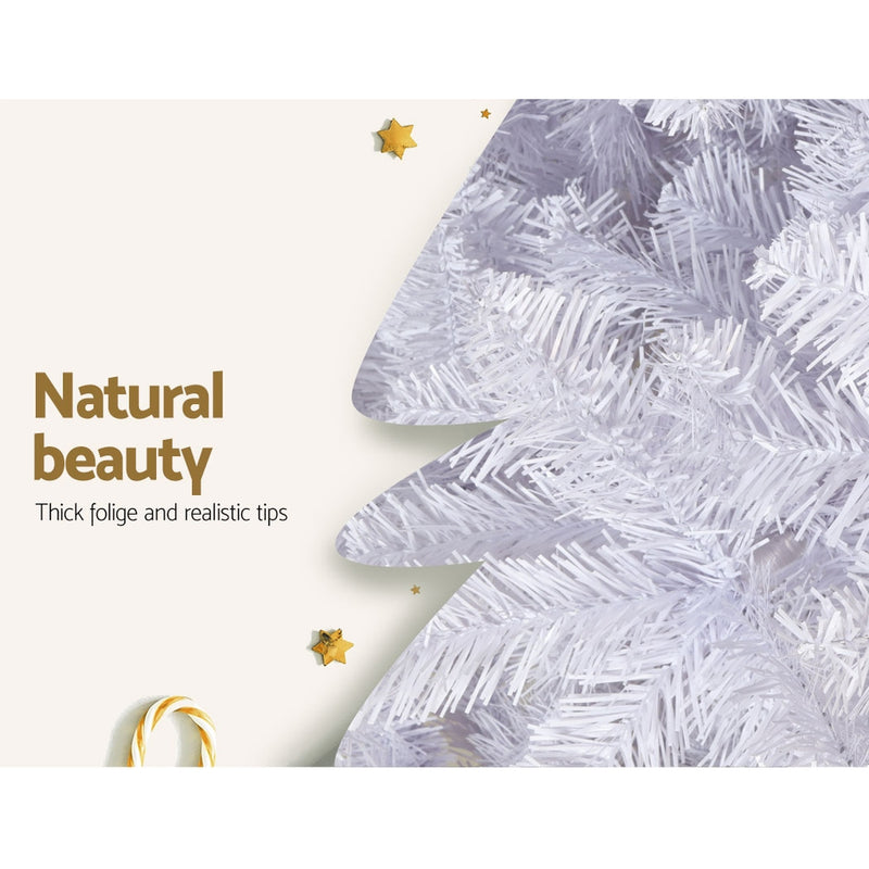 2.1m White Fir Christmas Tree – 1,000 Tips