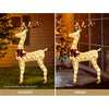 1.5M Christmas Lights Reindeer 100 LED