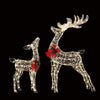 2 PCS Christmas Lights 170 LED Fairy Light Reindeers