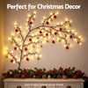 1.8m Willow Vine LED Fairy Lights – Warm White