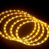 20M Christmas Lights String Rope Light 600 LED Warm