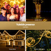 20M Christmas Lights String Rope Light 600 LED Warm