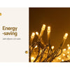 100M Christmas Lights String Fairy Light 500 LED Warm White