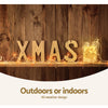 100M Christmas Lights String Fairy Light 500 LED Warm White