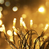 100M Christmas Lights String Fairy Light 500 LED Warm White