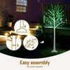 1.7m Twig Christmas Tree with 120 RGB LED Lights