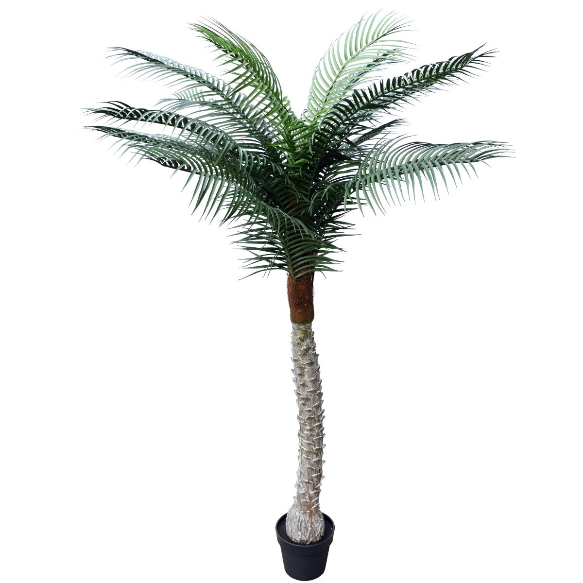 Artificial Tropical Phoenix Palm 170cm UV Resistant