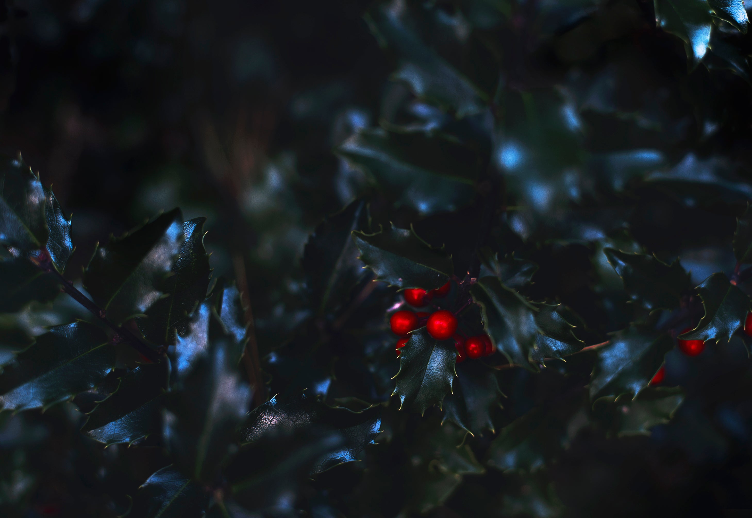 Desktop Slider Image